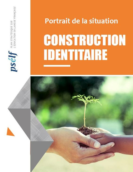 Portrait de la situation - Construction identitaire Image 1
